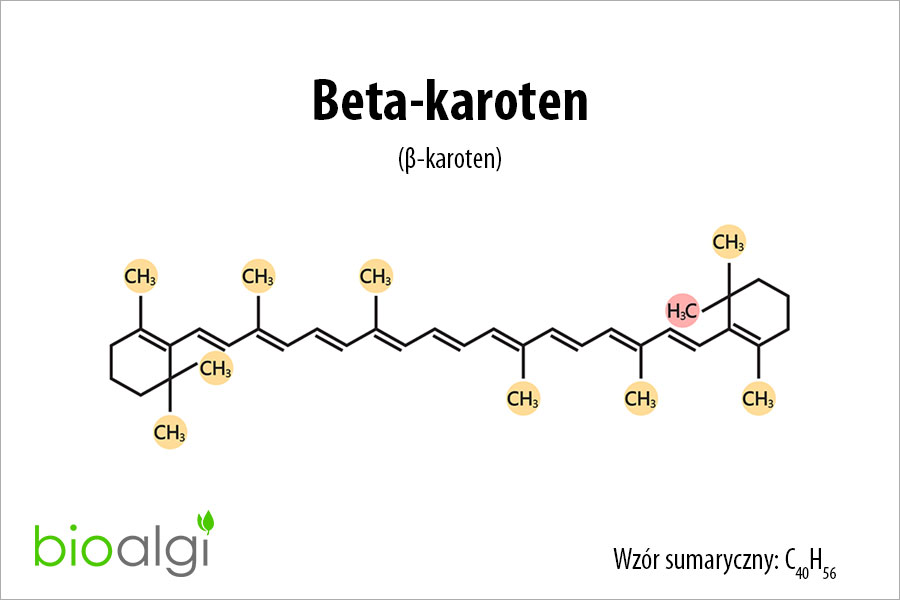Beta-karoten - działanie i właściwości prowitaminy A