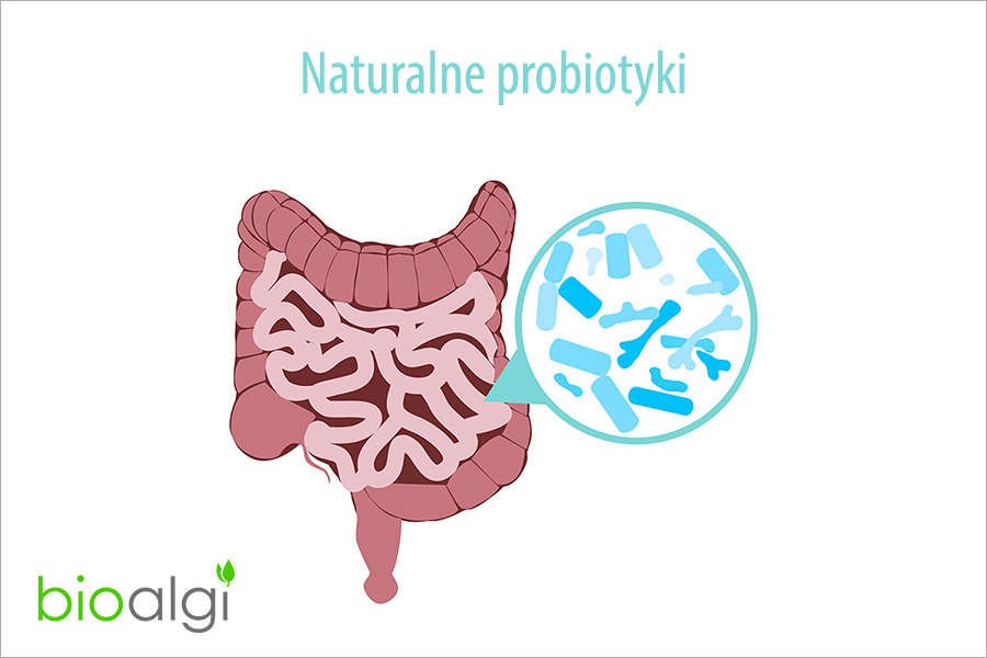 Naturalne probiotyki