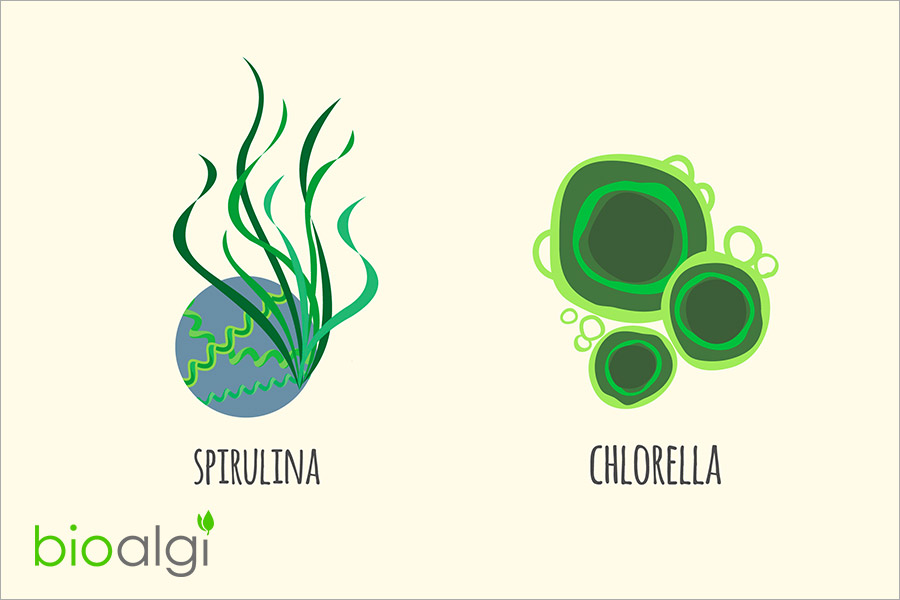 Spirulina i Chlorella