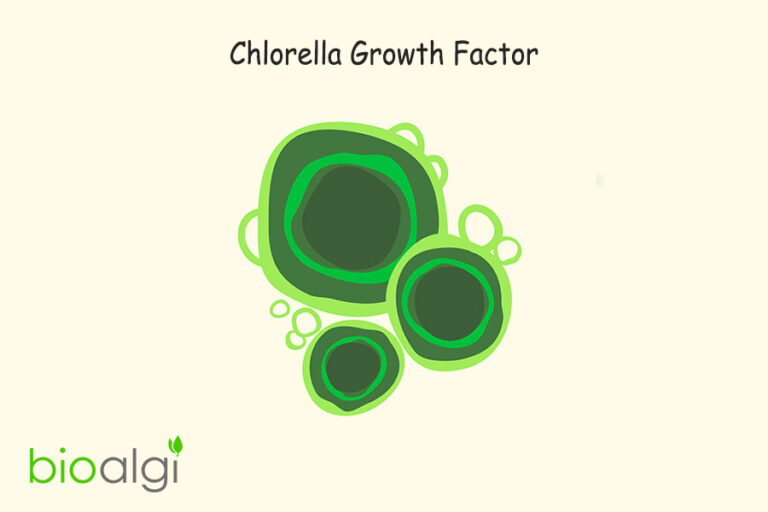 Chlorella Growth Factor (CGF)