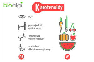 Karotenoidy