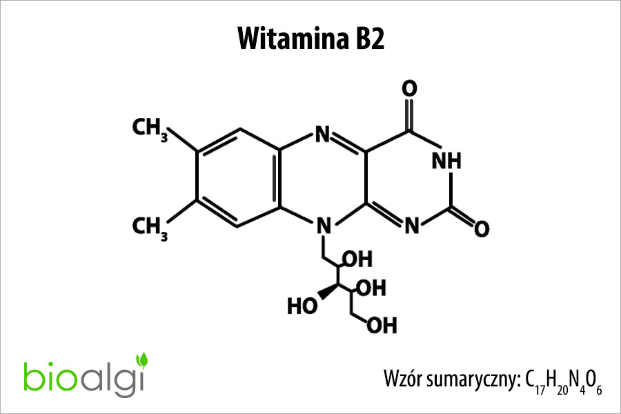 Witamina B2 (ryboflawina)