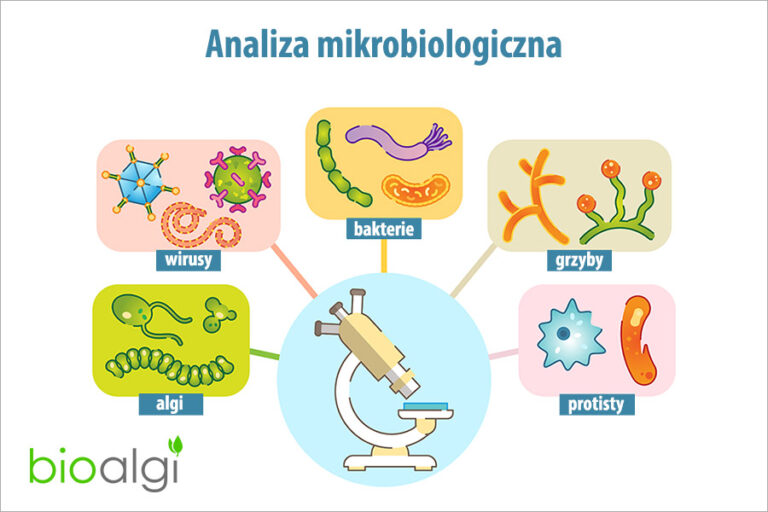 Analiza mikrobiologiczna