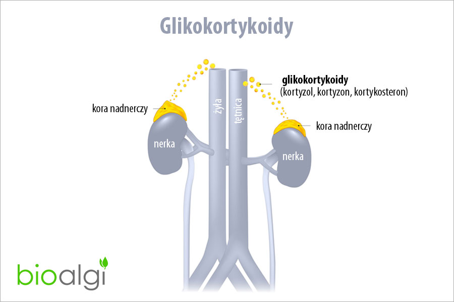 Glikokortykoidy