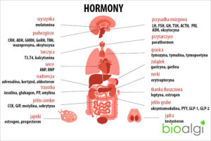 Hormony