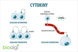 Cytokiny