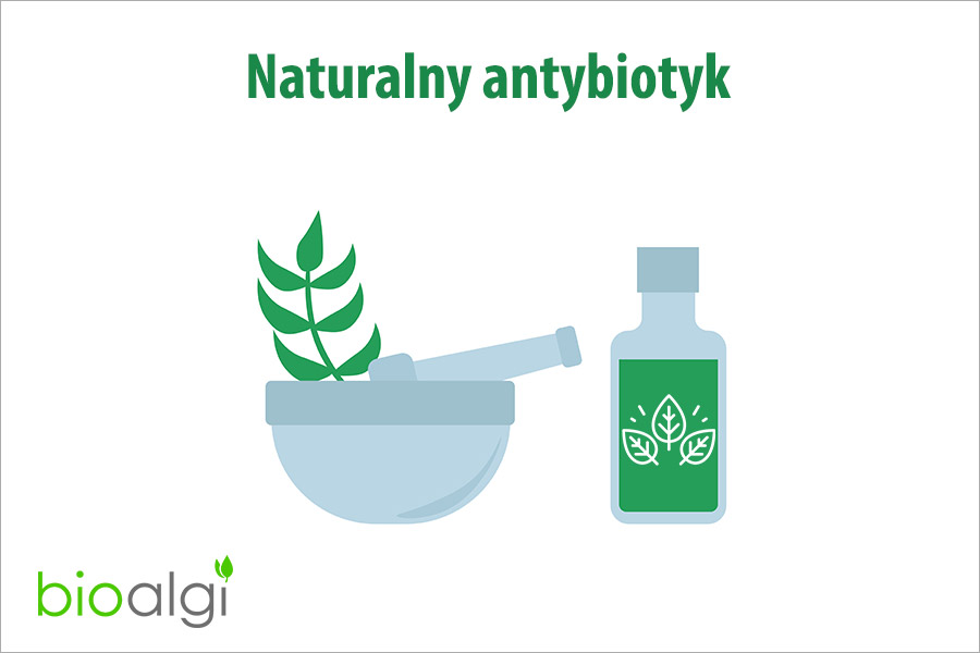 Naturalny antybiotyk