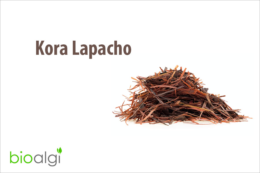 Kora Lapacho