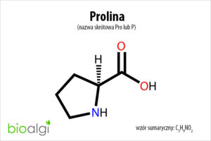 Prolina