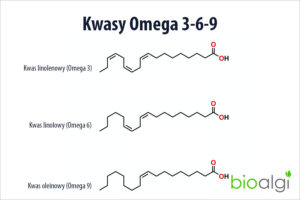 Kwasy Omega 3-6-9