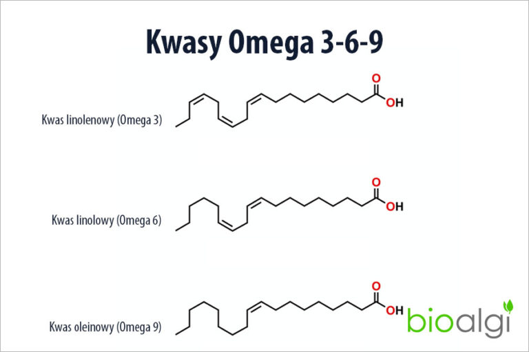 Kwasy Omega 3-6-9
