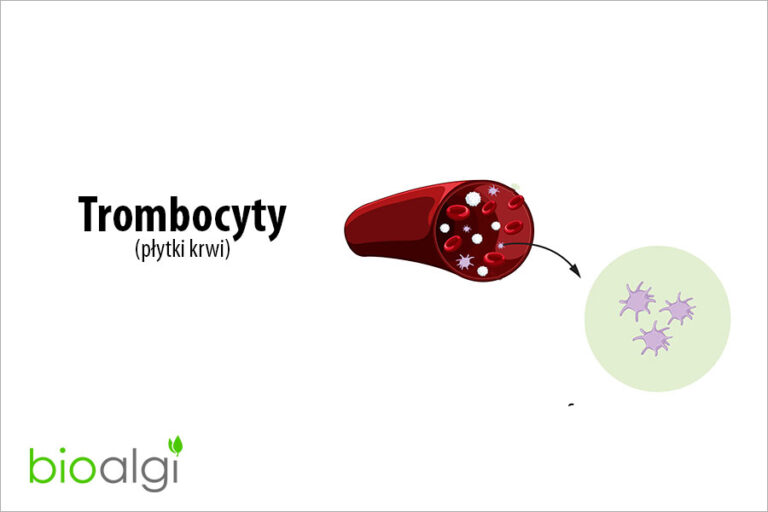 Trombocyty
