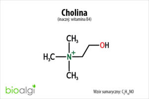 Cholina
