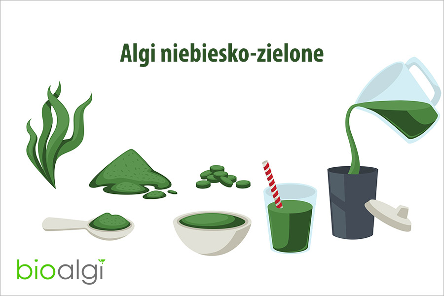 Algi niebiesko-zielone
