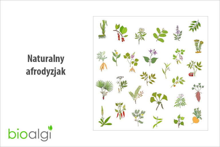 Naturalny afrodyzjak