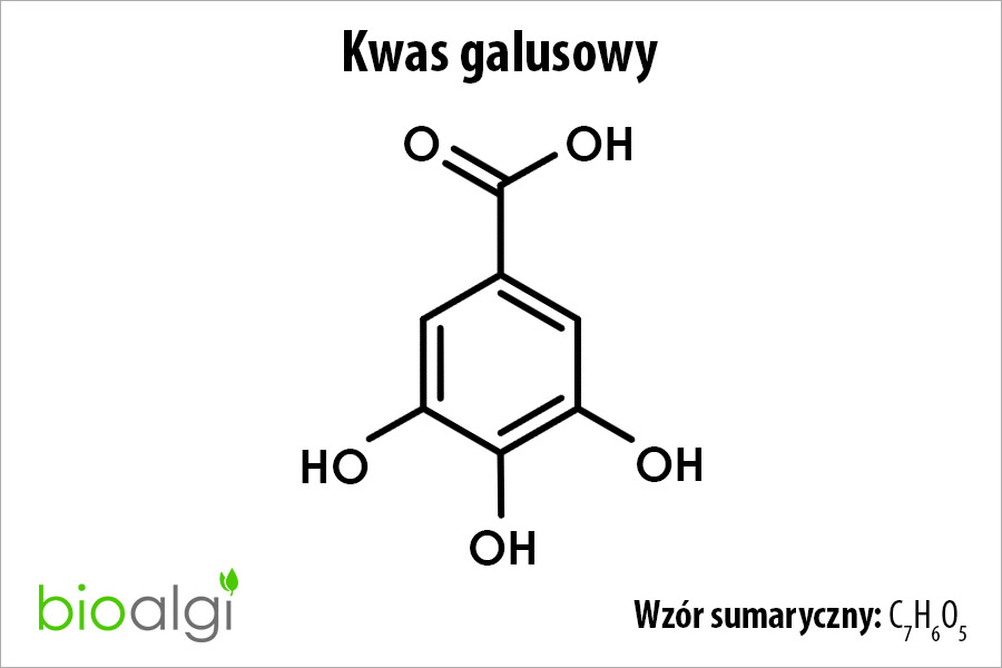 Kwas galusowy