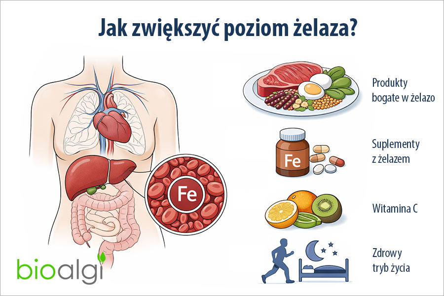 Jak zwiększyć poziom żelaza?