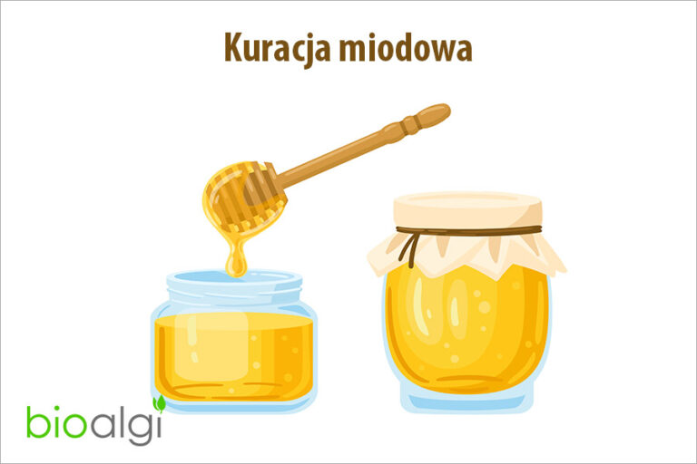 Kuracja miodowa
