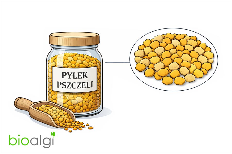 Pyłek pszczeli