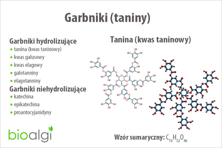 Garbniki (taniny)