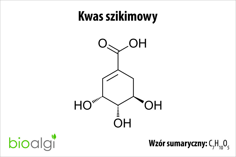 Kwas szikimowy