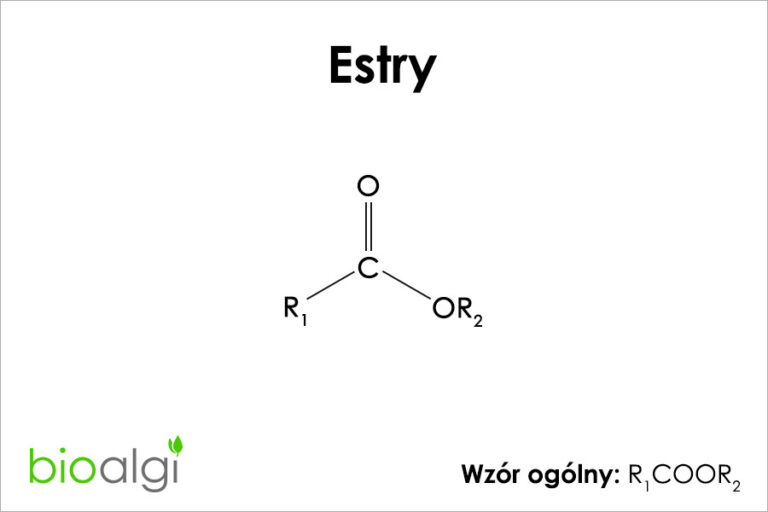 Estry