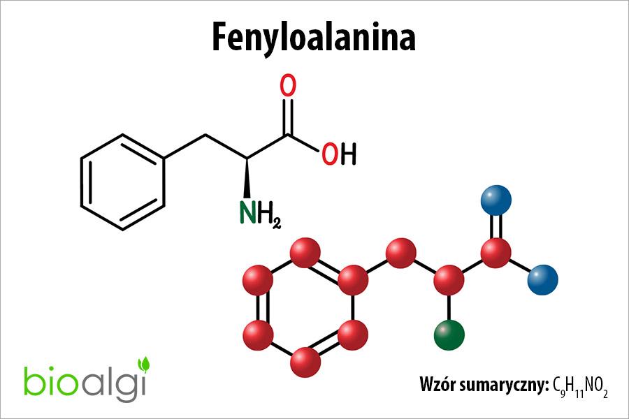 Fenyloalanina