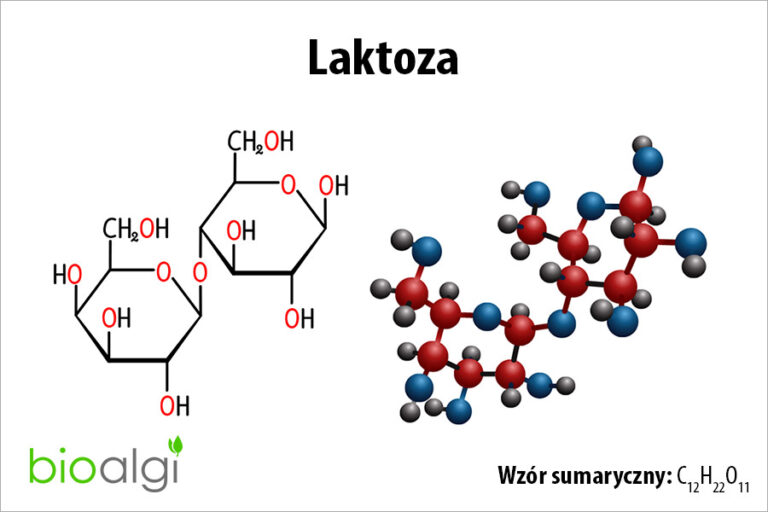 Laktoza