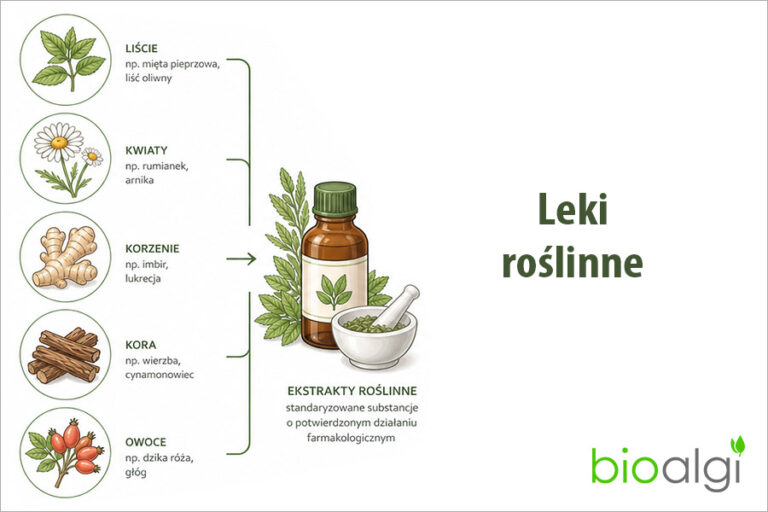 Leki roślinne
