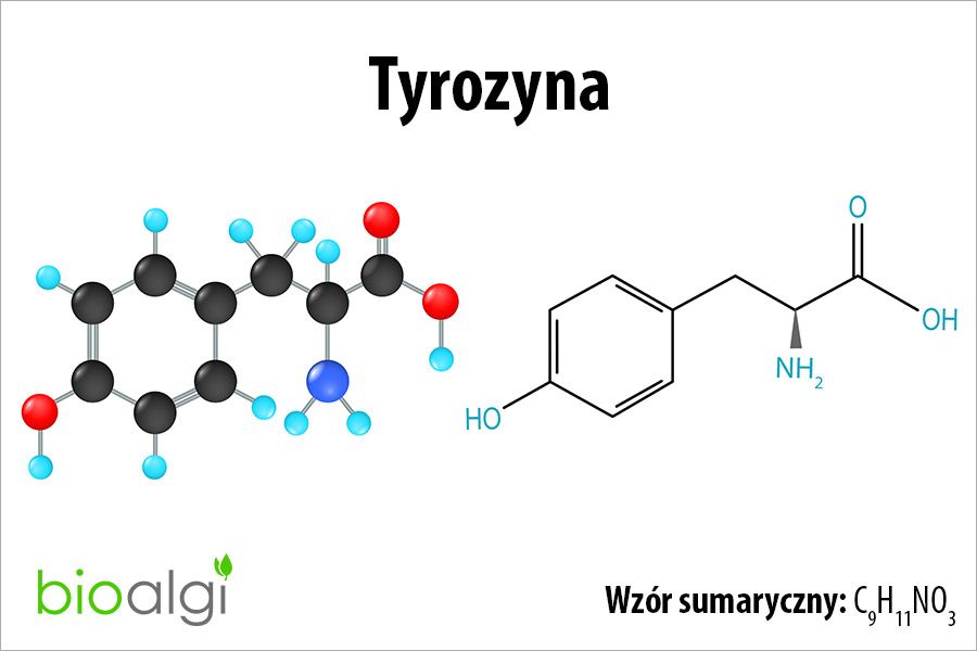 Tyrozyna