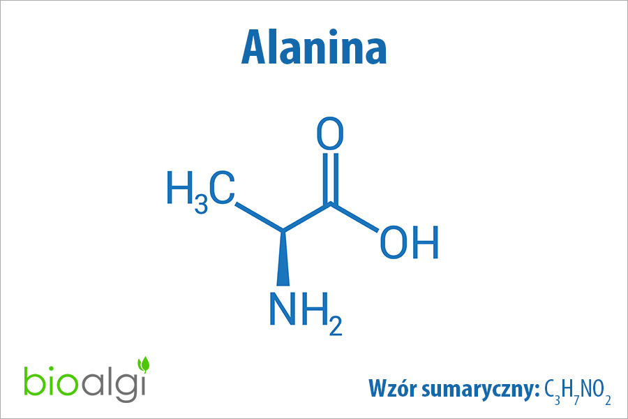 Alanina