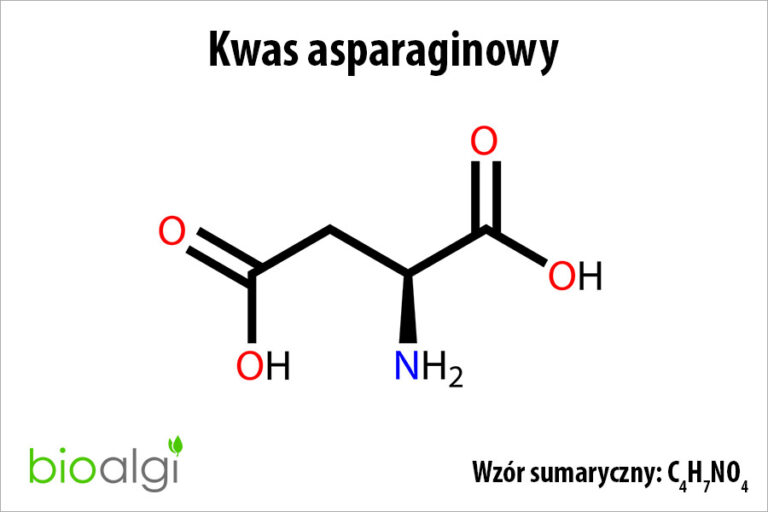Kwas asparaginowy
