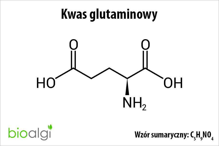 Kwas glutaminowy