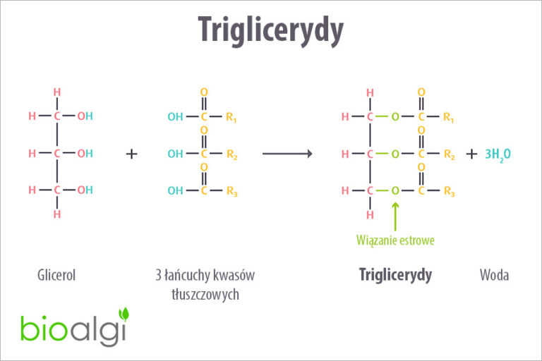 Triglicerydy
