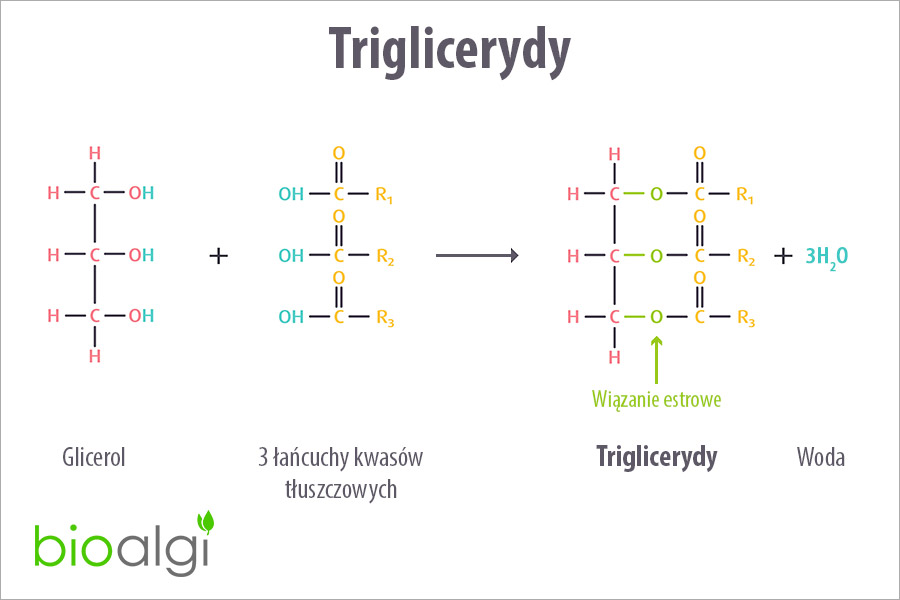 Triglicerydy