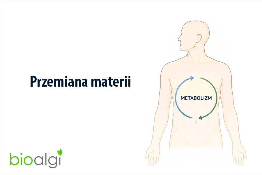 Przemiana materii