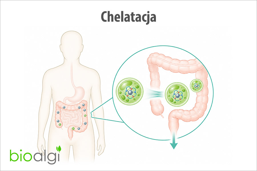 Chelatacja